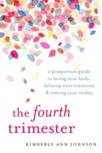 The fourth Trimester book